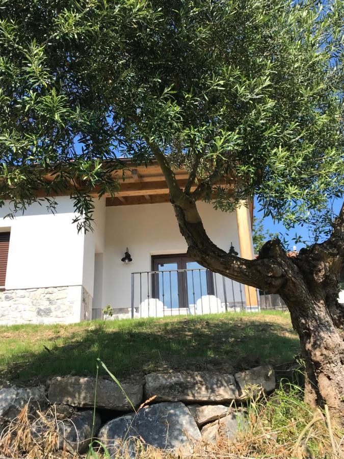 La Casina Del Olivo Villa Ribadesella Eksteriør billede