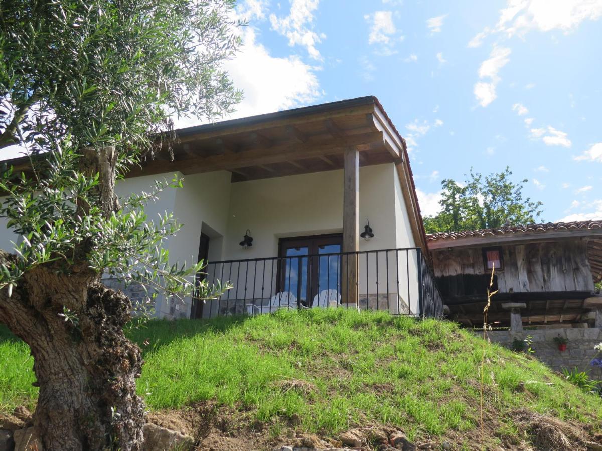 La Casina Del Olivo Villa Ribadesella Eksteriør billede