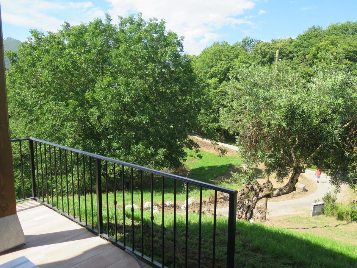 La Casina Del Olivo Villa Ribadesella Eksteriør billede